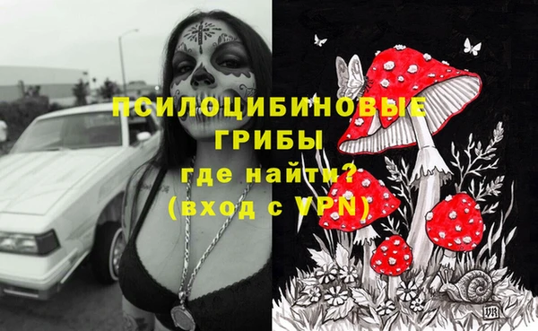apvp Алзамай