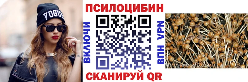 купить  цена  Среднеколымск  Псилоцибиновые грибы MAGIC MUSHROOMS 